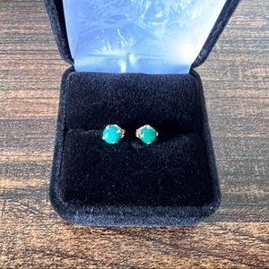 Turquoise Earrings